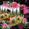 tarek7121966